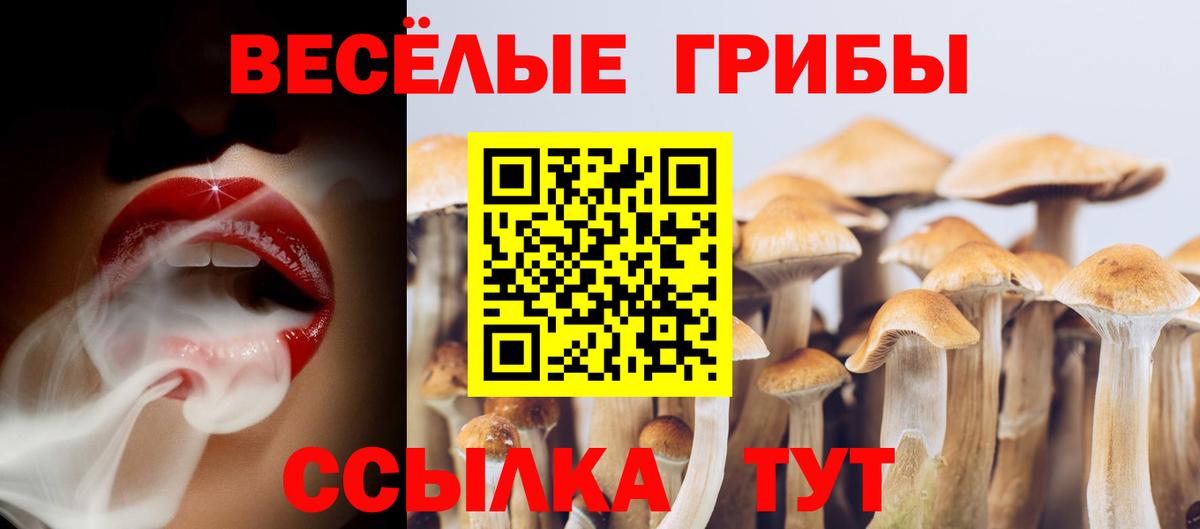 Каменка  Галлюциногенные грибы Magic Shrooms  Вход с VPN 